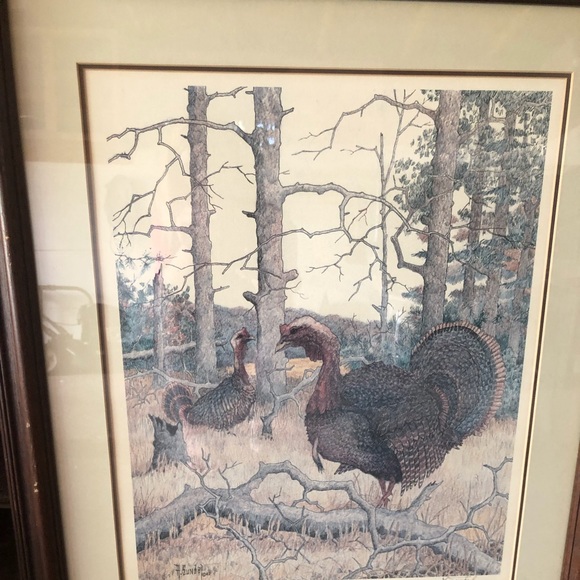 Picture with frame - Picture 2 of 4